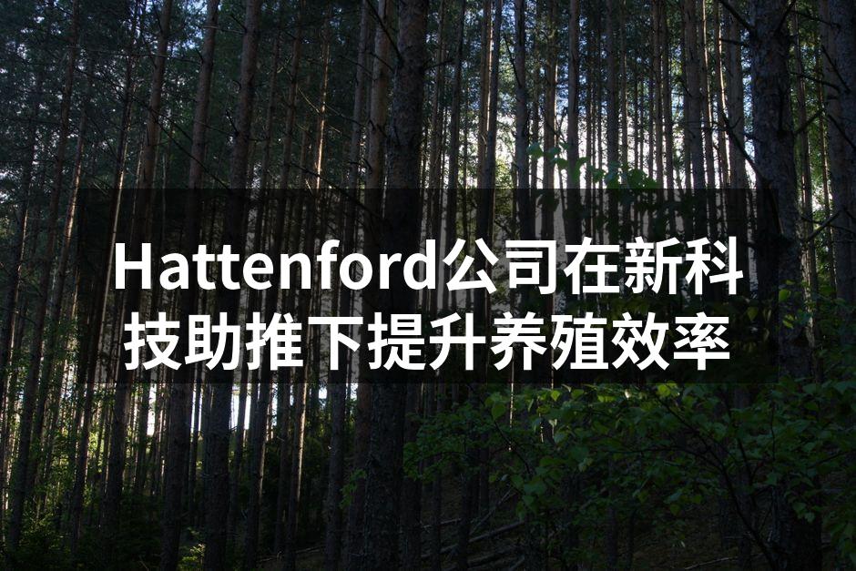 Hattenford公司在新科技助推下提升养殖效率
